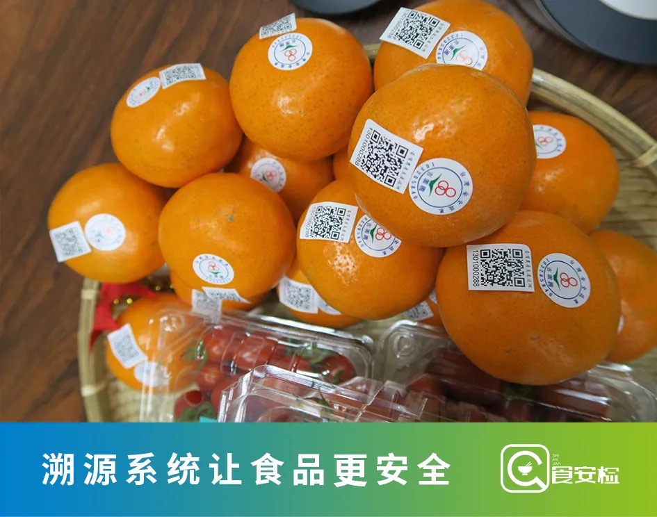 一物一碼｜溯源把控食品安全新體系